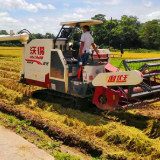 道县：又到丰收时 早稻收割忙