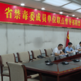 湖南省禁毒委联点督导祁阳禁毒工作