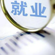 永州市调研组来蓝山调研社区公共就业服务能力建设工作