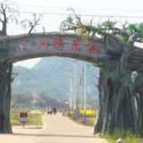 蓝山县太平圩镇大洞村：依托梨产业 推进乡村振兴
