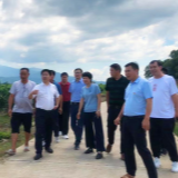 江永:唐德荣深入桃川镇调研乡村振兴工作