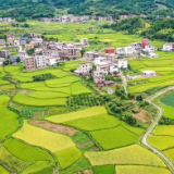 视频丨湖南蓝山：初秋田园 景美如画