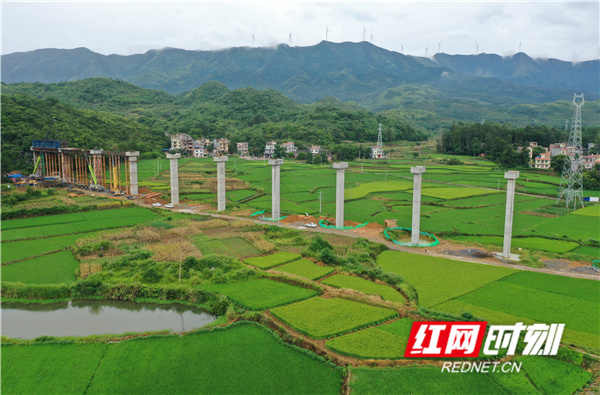 红网时刻8月16日讯（通讯员 周凤连 谭海峰）8月15日，湖南省永州市道县四马桥镇滴水营村，工人在涔天河水库灌区右干渠项目建设工地进行涵箱钢筋混泥土浇筑。