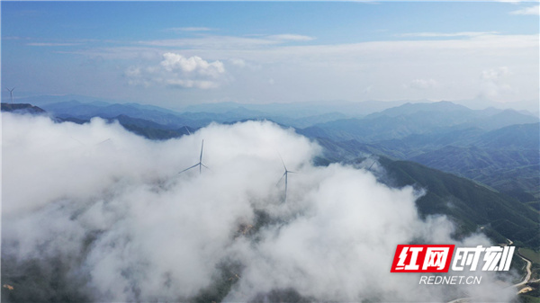 红网时刻8月20日讯（通讯员 梁利 卢文硕）8月19日，湖南省永州市蓝山县浆洞瑶族乡云冰山风电场云雾缭绕、景色迷人。