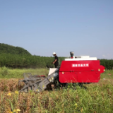 视频丨湖南新田:机械化收割大豆 适用又高效