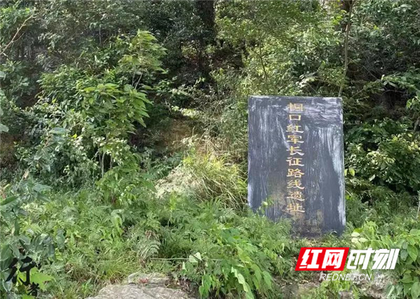 微信图片_20210805164727.jpg
