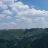 双牌答卷丨绿色经济唱“主角” 引领乡村产业振兴