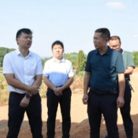 东安：唐何到井头圩镇调研乡村振兴工作