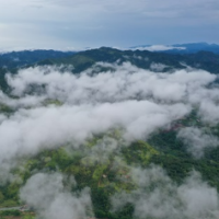 湖南新田：云雾绕青山“绘出”水墨丹青画（组图）