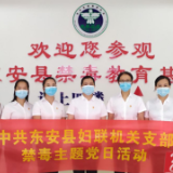 东安县妇联开展禁毒教育主题党日活动