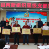 喜迎党代会丨永州答卷·新田篇：党建赋能“小个专” 引领发展大作为