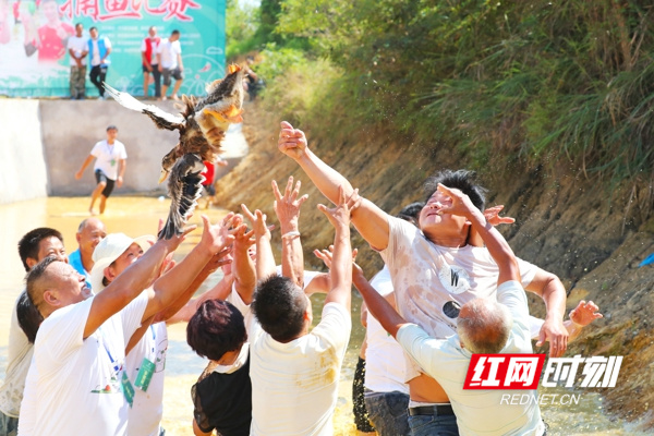 9月26日，湖南省永州市新田县枧头镇云溪欧家村，农民在参加抓鸭子比赛。