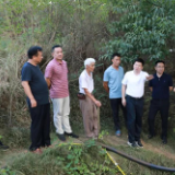 东安：蒋华调研部分乡镇人居饮水和抗旱工作