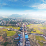 蓝山：“链”上组织 以企为“家”