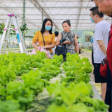 湖南蓝山：智慧农业 产业升级（组图）