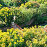 湖南新田：园林县城 秋景宜人（组图）