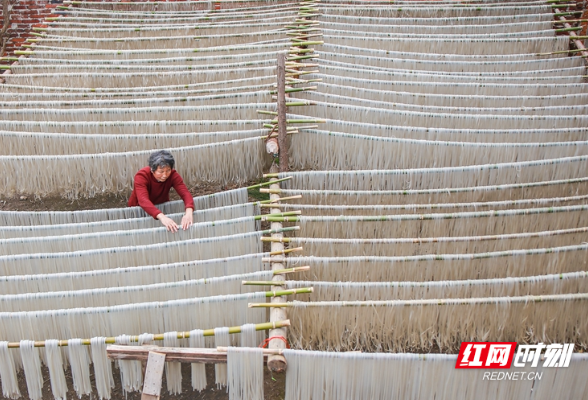 湖南蓝山：红薯粉条富农家（组图）