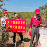 森林防灭火丨江永：茶山林里闪烁“志愿红”