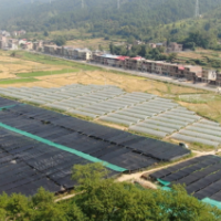 道县：小牛蛙“大前景” 群众增收路更宽