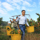 江永邑口村：小山村“水果经济”助力乡村振兴