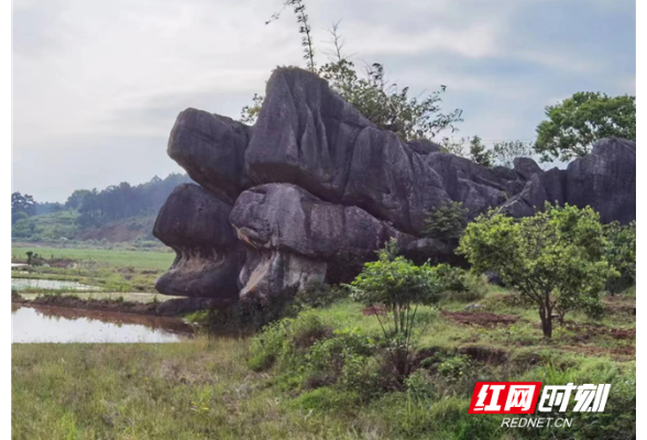 道县红色印记丨红色遗址⑧：烈士长眠邓家村红岭