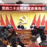 东安：唐何到石期市镇传达学习党的二十大精神