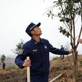 新田：掀起植树造林高潮 吹响创建森林城市号角