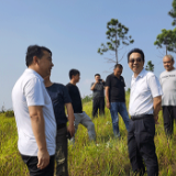 情系道州担当作为 科技助力乡村振兴——道县科技专家服务团为民服务纪实