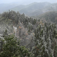 湖南蓝山：虎年开春降瑞雪（组图）