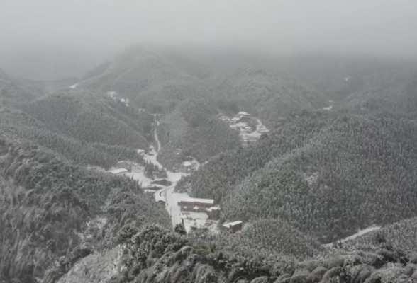 视频丨湖南新田：初春如画 雪落成诗