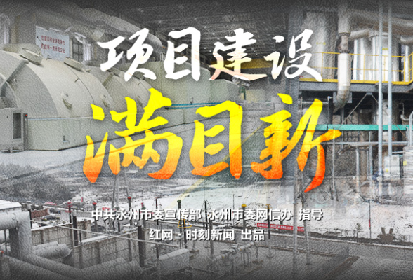 海报丨永州市2022年产业项目建设现场观摩·东安篇