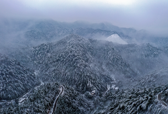 新田：水墨雪乡（组图）