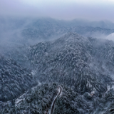 新田：水墨雪乡（组图）