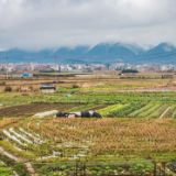 湖南蓝山：雨后乡村春色美（组图）