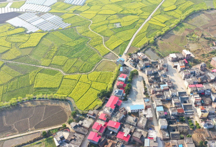 湖南道县：春景如画产业兴