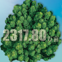 海报丨植树节，一起看永州绿色“树”字