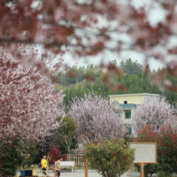 湖南新田：边角空地变身“网红”乡村公园