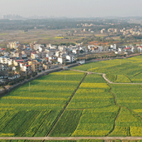 道县两河口村:乡村振兴家家受益