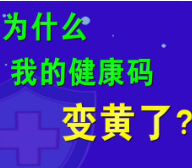 视频丨绿码变黄？无须紧张！这么做就对了