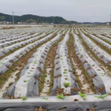 道县：工作队员心向党 振兴防疫勇担当