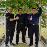 永州市卫健委驻村工作队：文化振兴推动产业振兴，助力乡村全面振兴