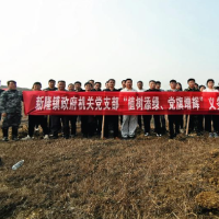 新田:植树添绿 党旗增辉