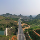 新田：一级公路两旁生态美（组图）