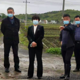 龙飞凤赴道县宜阳村调研乡村振兴工作