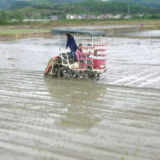 道县：多措并举 坚决打好早稻生产第一仗