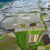 湖南江永：春耕美景入画来（组图）