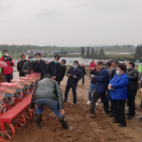 永州召开大豆玉米带状复合种植现场推进会