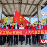 道县：聚力同心抗疫情 人大代表勇担当