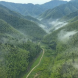 双牌县阳明山：雨后竹海 你眼中的丹青画卷