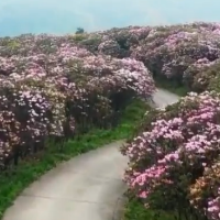 湖南卫视丨永州双牌：好山好水中撬动美丽经济